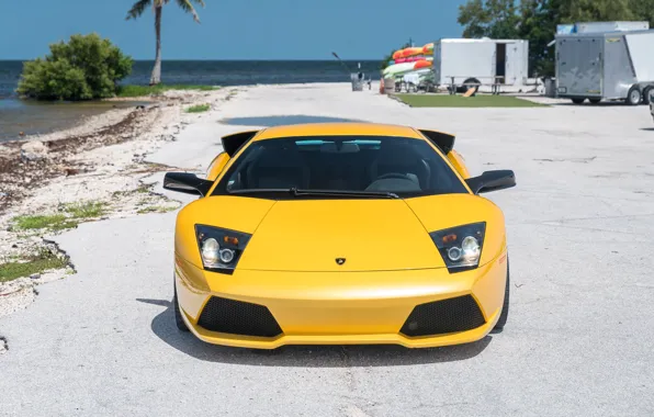 Lamborghini, yellow, Lamborghini Murcielago, Murcielago, lambo, front view