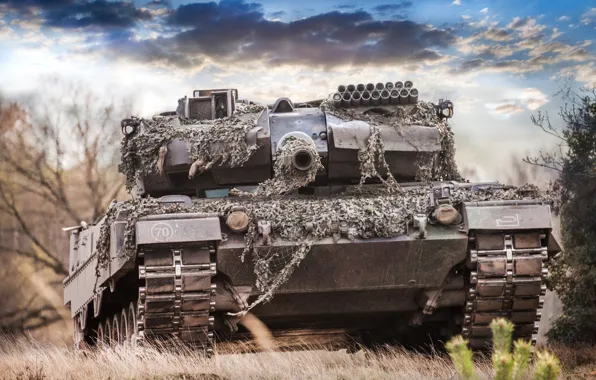 Picture forest, the sky, the barrel, tank, combat, Leopard 2A6M