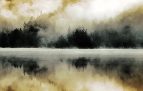 Forest, fog, lake, reflection