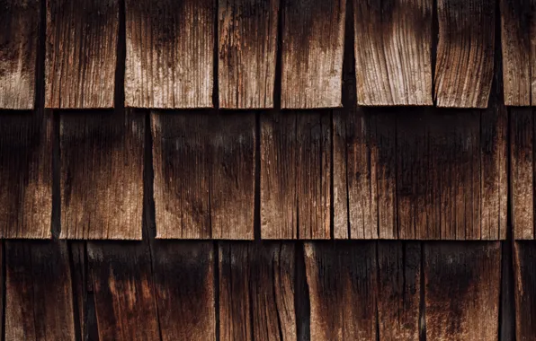 Tree, Board, texture, wooden