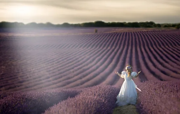 Field, girl, lavender