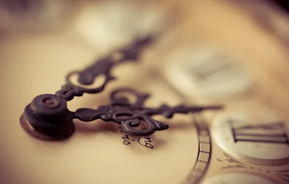 Macro, time, background, watch