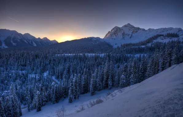 Winter, forest, snow, mountains, dawn