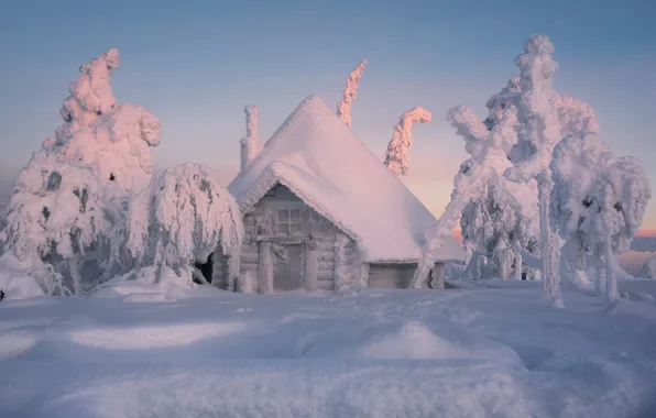 Picture winter, snow, trees, hut, the snow, house, Finland, Lapland