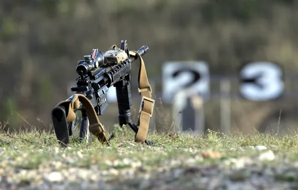 Grass, rifle, assault