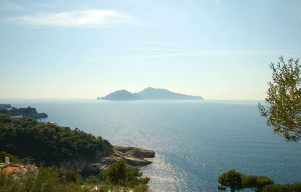 Picture sea, trees, island