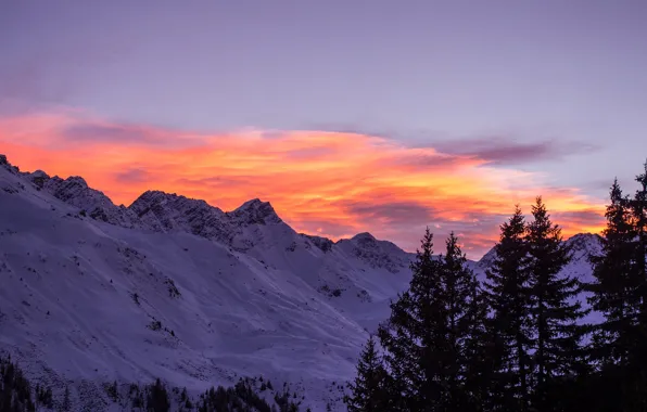 Picture winter, the sky, clouds, snow, trees, sunset, mountains, nature