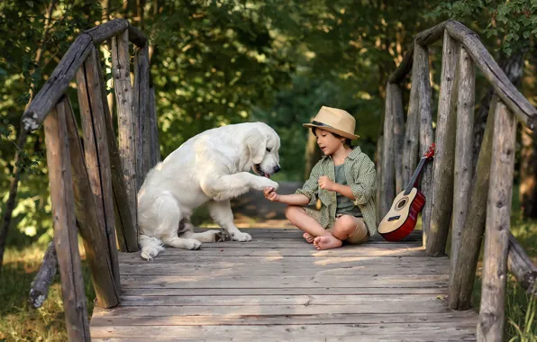 Picture animal, guitar, dog, boy, the bridge, friends, child, dog