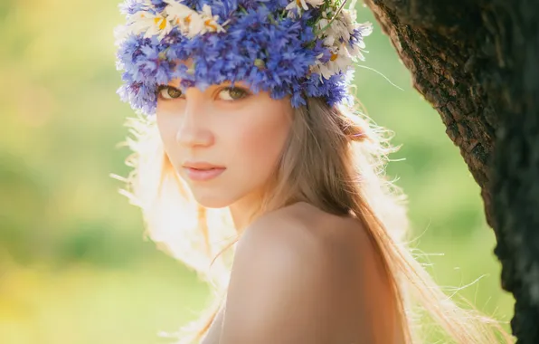 Picture summer, eyes, look, girl, tree, chamomile, wreath, cornflowers