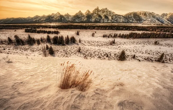 Winter, snow, mountains, USA, mountain range, panorama