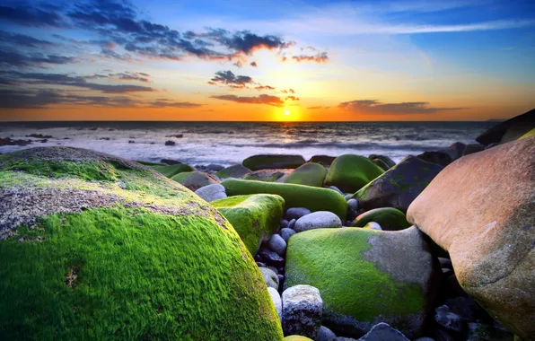 Picture sea, landscape, sunset, stones, moss