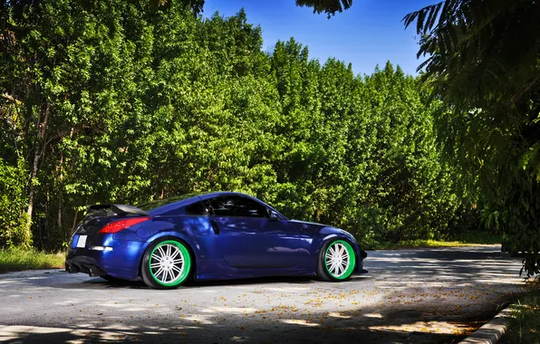 Picture nature, Nissan, 350Z