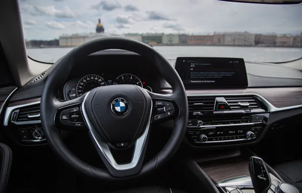 Car, machine, auto, city, fog, race, bmw, BMW