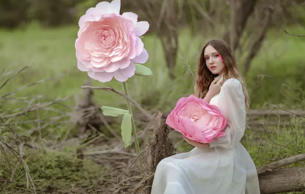 Wallpaper girl, flowers, nature