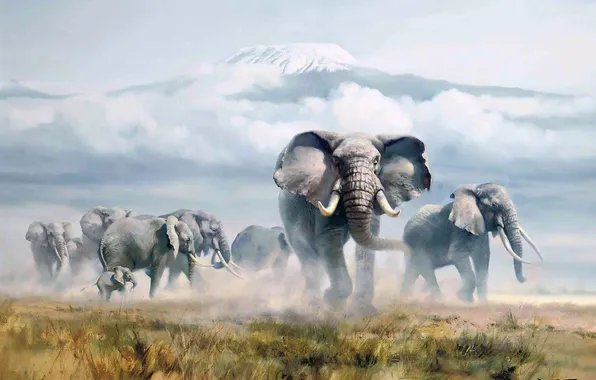 Grass, Mountain, Picture, Elephants, Kilimanjaro, Donald Grant, British animal artist, Donald Grant