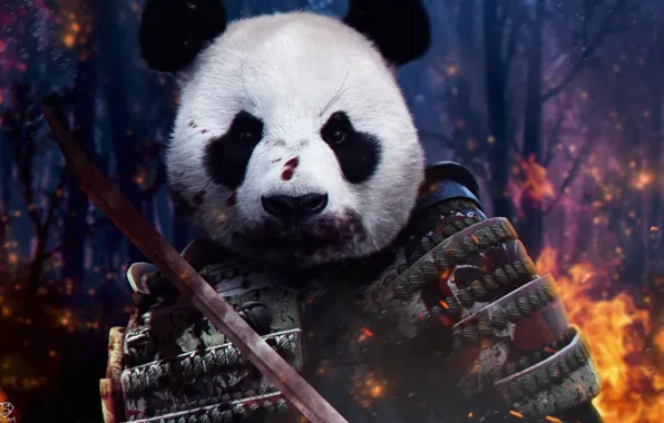 Weapons, fire, fire, war, blood, katana, Japan, warrior