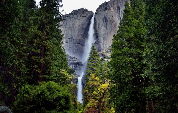 Picture forest, mountains, nature, river, rocks, waterfall