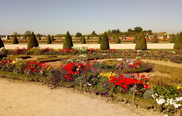 Picture trees, flowers, France, alley, The gardens of the Palace of Versailles