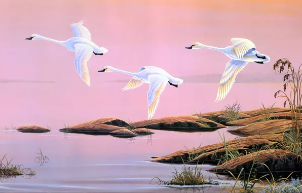 The sky, flight, nature, stones, dawn, figure, wings, picture