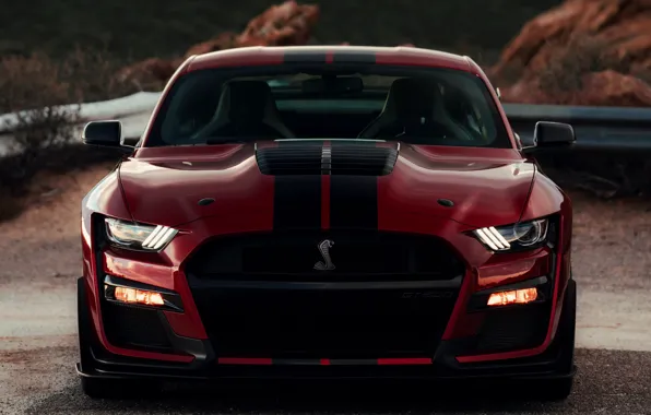 Mustang, Ford, Shelby, GT500, front view, bloody, 2019