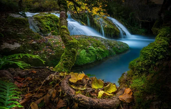 Autumn, river, tree, waterfall, moss, Spain, cascade, fallen leaves
