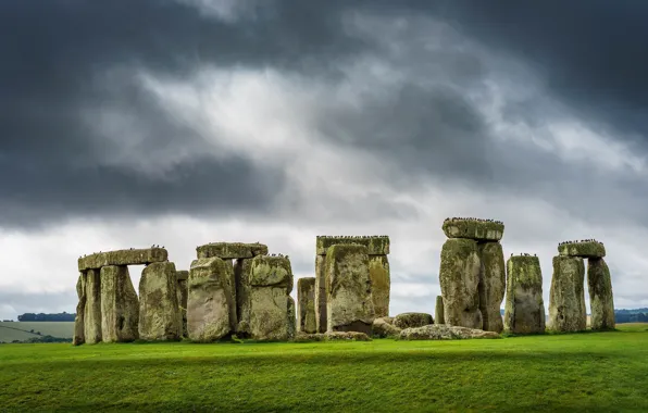 Picture stones, bird, England, Stonehenge