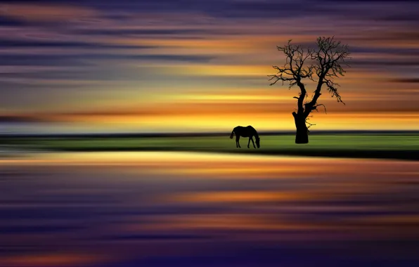 Style, background, tree, horse