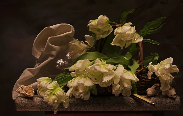 Picture flowers, basket, stone, towel, tulips, shell, still life