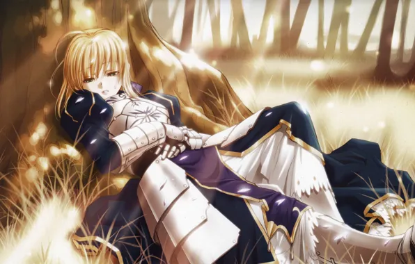 Art, the saber, Fate stay night, Fate / Stay Night