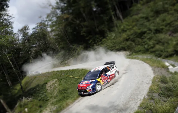 Road, Forest, Turn, Citroen, WRC, Rally, The front, Blur