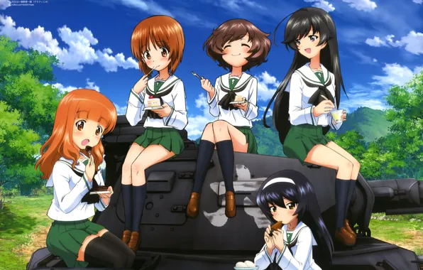 Girls, tank, cake, happy, tankistki, Saori Takebe, Miho Nishizumi, Girls and Panzer