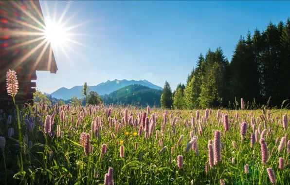The sky, the sun, mountains, meadow