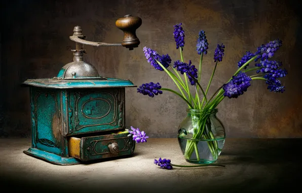 Retro, still life, Muscari, spring flowers, coffee grinder
