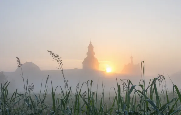 The sky, grass, the sun, fog, dawn, morning, Church, temple