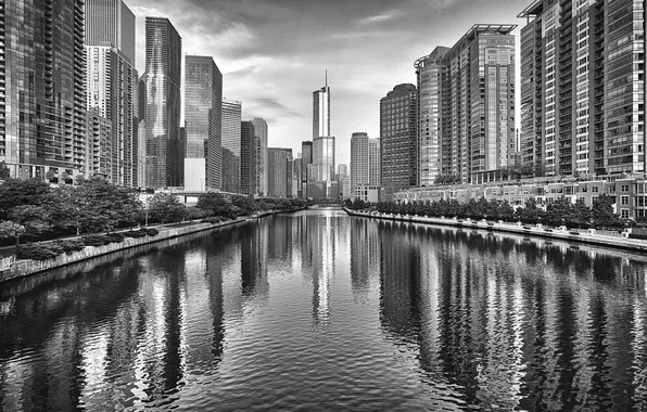 Water, the city, river, building, skyscrapers, Chicago, black and white, Illinois