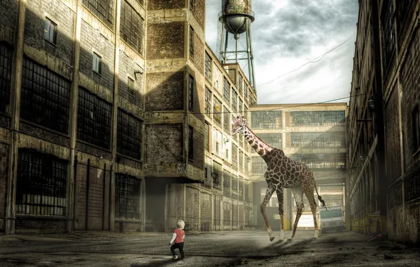 Picture the situation, boy, installation, giraffe