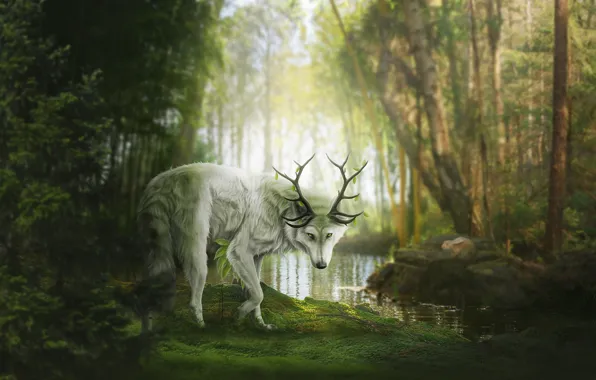 Picture forest, nature, pond, wolf, fantasy, horns, by Fiirewolf
