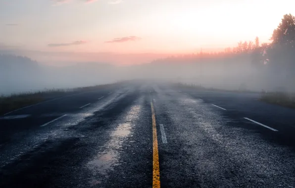 Picture road, nature, fog