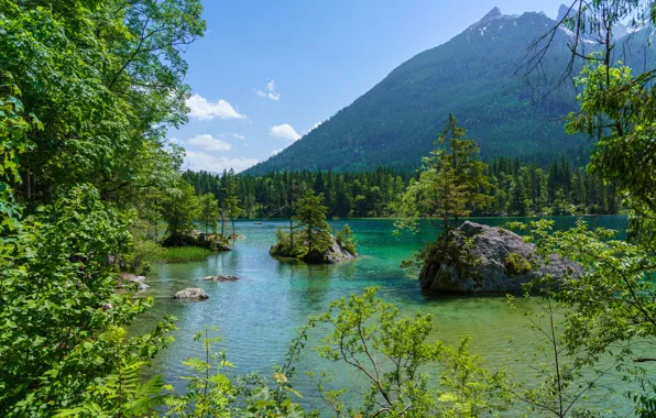 Greens, forest, the sky, the sun, clouds, trees, mountains, lake
