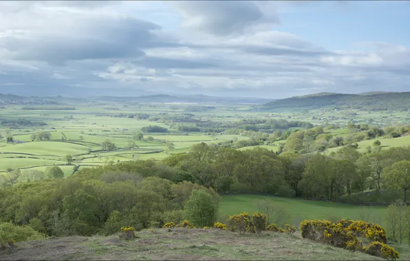 Field, clouds, trees, hills