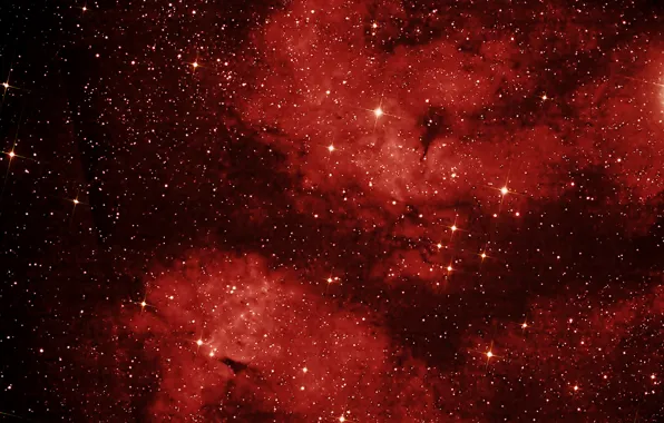 Picture space, nebula, stars, Swan, constellation, LBN 274