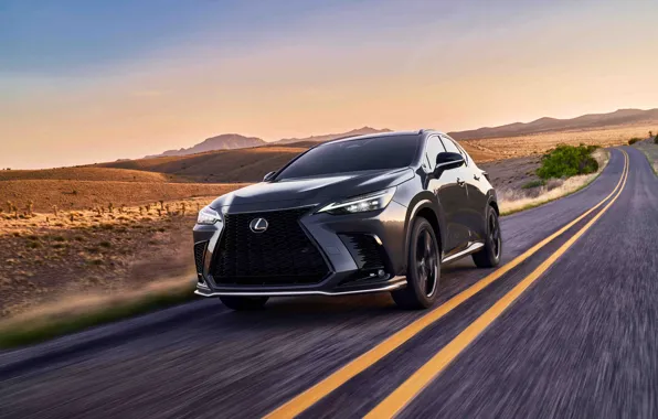 Picture Road, Lexus, Lexus, Black, 2022, Cloud navigation, Lexus NX 350 Sport, Compact SUV