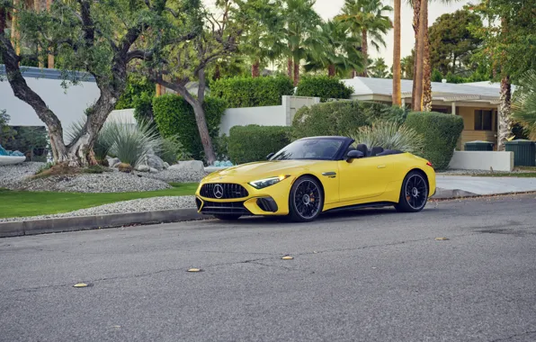 Picture car, Mercedes-Benz, Mercedes, trees, palms, Mercedes-AMG, Mercedes-AMG SL 63