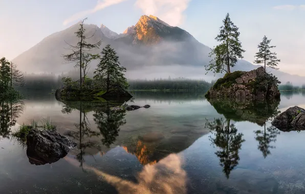 Picture forest, the sky, clouds, trees, nature, fog, lake, stones