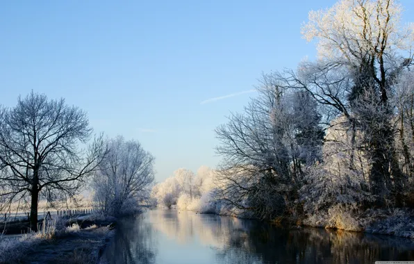 Ice, frost, the sky, trees, river, Winter, fence