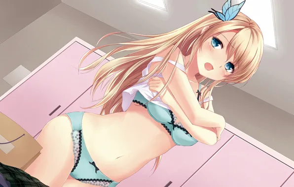 Picture girl, sexy, lingerie, bra, cleavage, panties, long hair, boobs