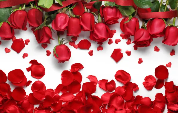Roses, petals, hearts, red, love, flowers, hearts, petals
