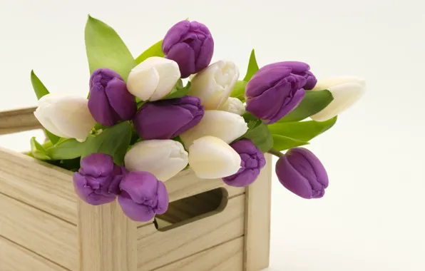 Bouquet, spring, tulips, wooden box