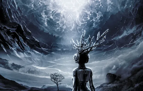 Tree, element, Shine, being, centroid of the mechanism