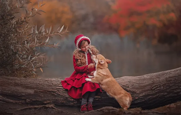 Autumn, leaves, branches, nature, pose, Park, dog, little red riding hood
